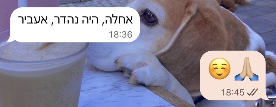 צילום מסך של הודעת תודה בוואטסאפ